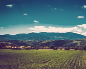 在线短信轰炸网页版